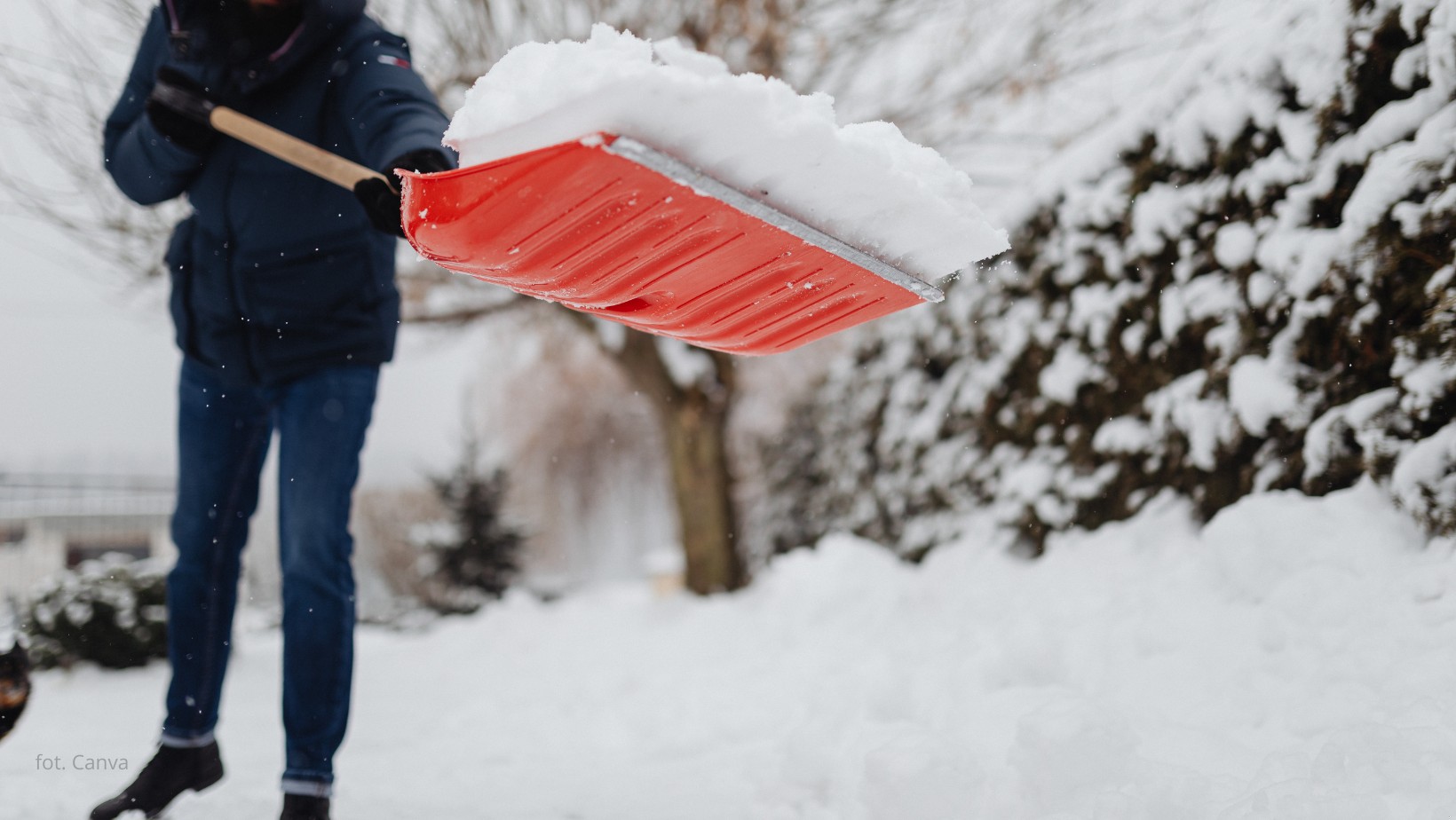 Czy należy odśnieżać ogród? Sprawdź, co warto wiedzieć