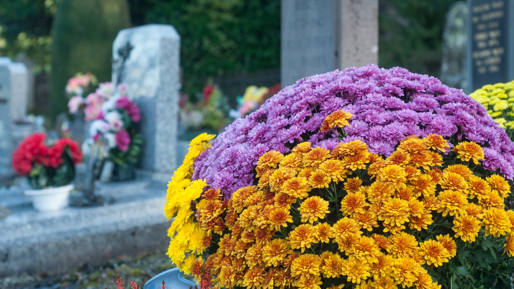 Synoptycy przewidują pogodę na Wszystkich Świętych! To może nas zaskoczyć!