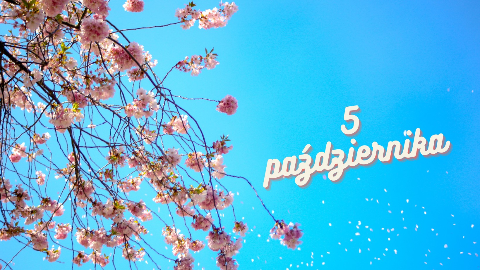 Nie rób tego 5 października. Wiatr to zły omen