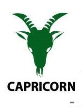 Zdjęcie Najwierniejsze znaki zodiaku – sprawdź czy znajduje się w nich Twój! #4