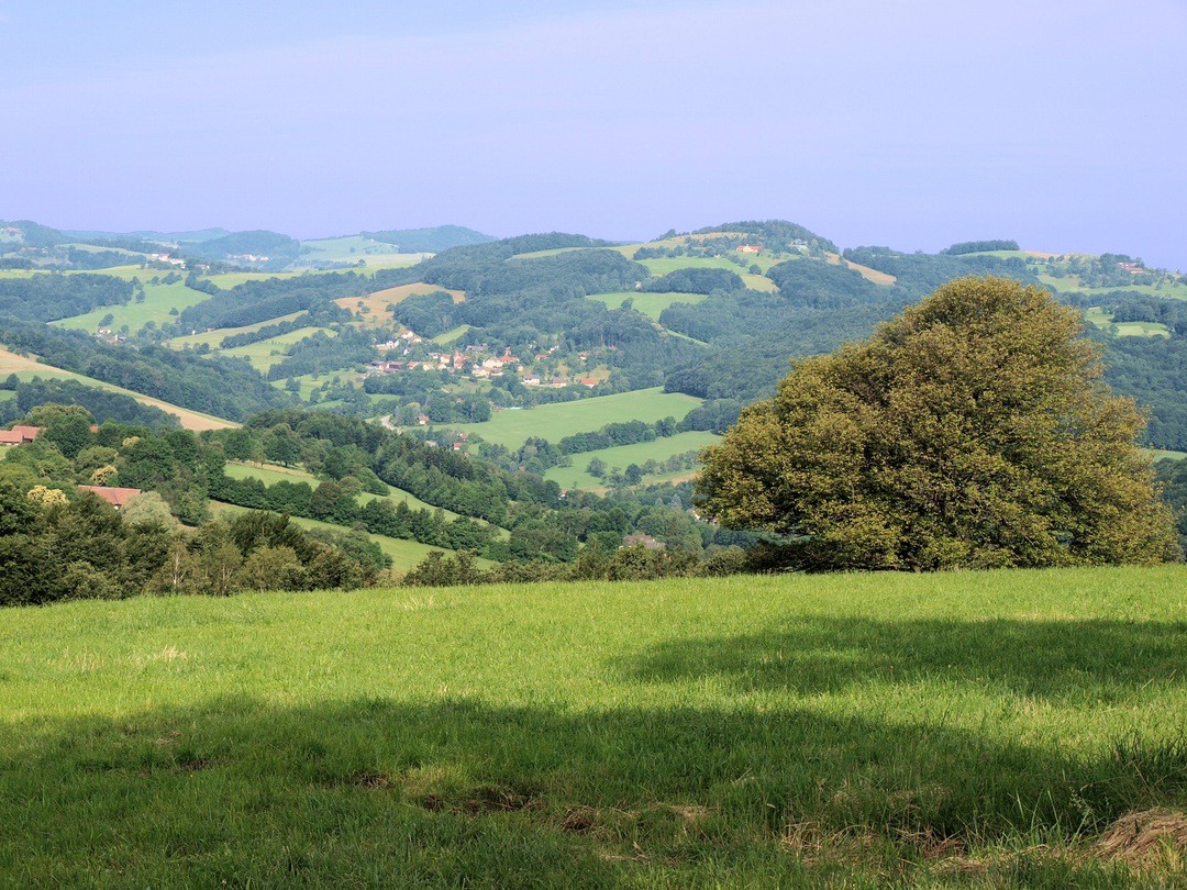 Szczerego serca nikt nie odtrąci.
