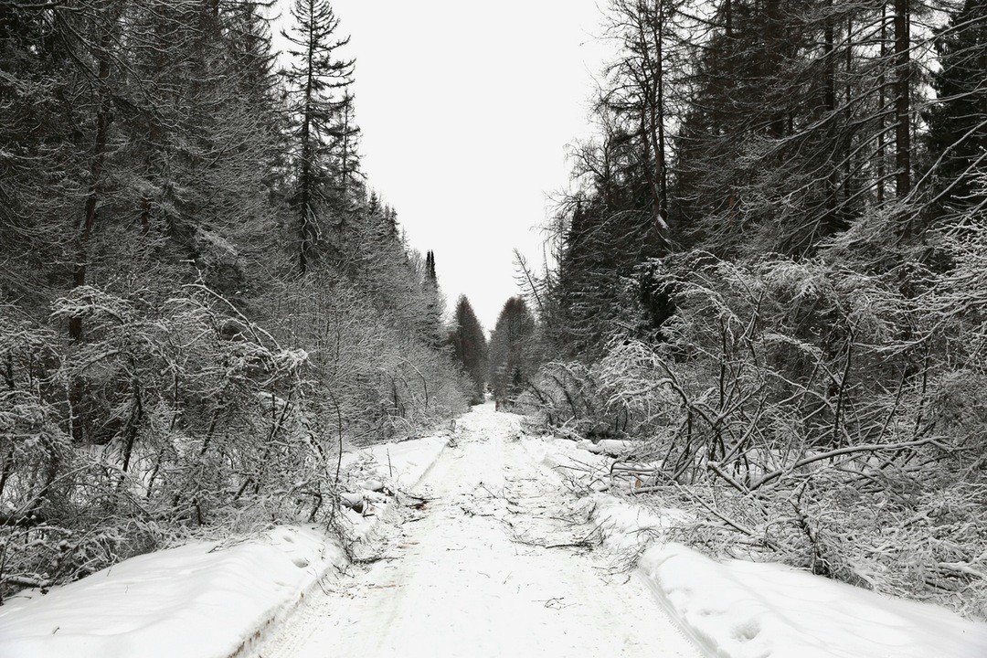 Ponieważ tak mało o sobie wiedzieliśmy, dużo mówiliśmy, najczęściej nie …