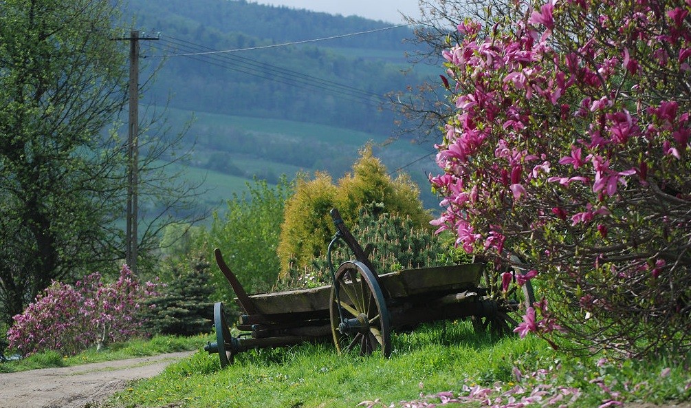 Kiedyż nam Pan Bóg wrócić z wędrówki dozwoli I znowu …