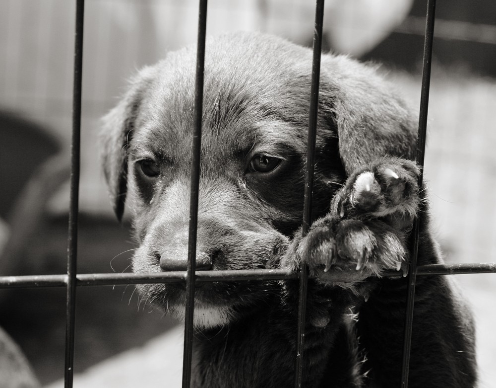 Jeśli boisz się przeszłości i ukrywasz się przed nią, to …