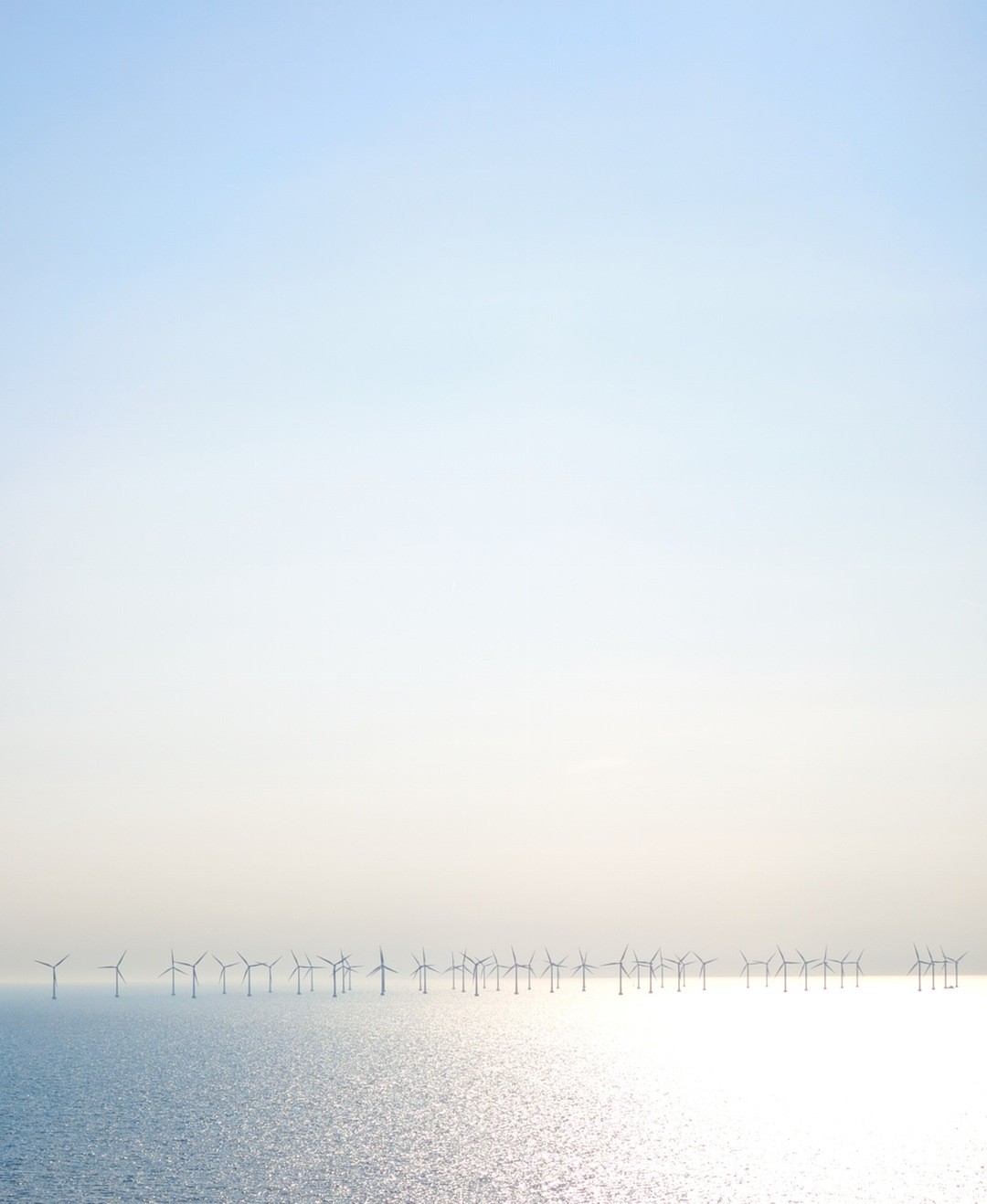 Człowiek jest w stanie zniszczyć wszystko, nawet samego siebie.