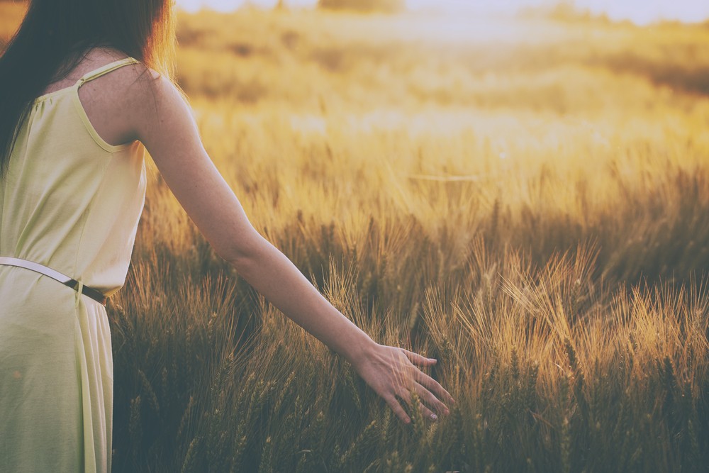 Nie myślcie, że możecie kierować miłością. Miłość bowiem, jeśli uzna …