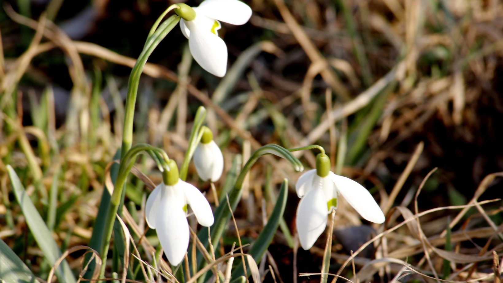 Co powinno się robić w marcu? Nie każdy o tym wie
