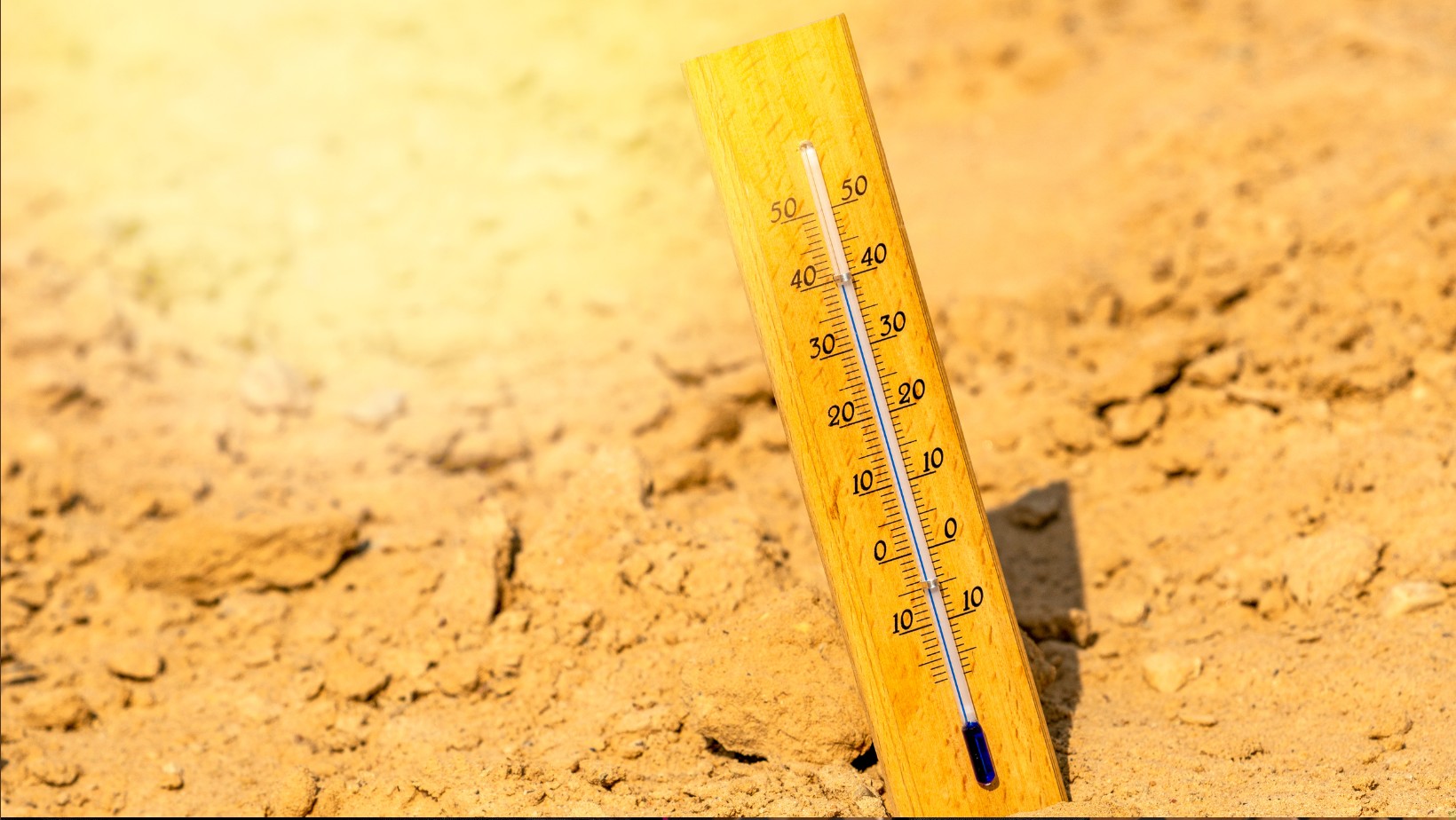 Rekordowe temperatury niebawem wkroczą do Polski! Podano najnowsze prognozy!