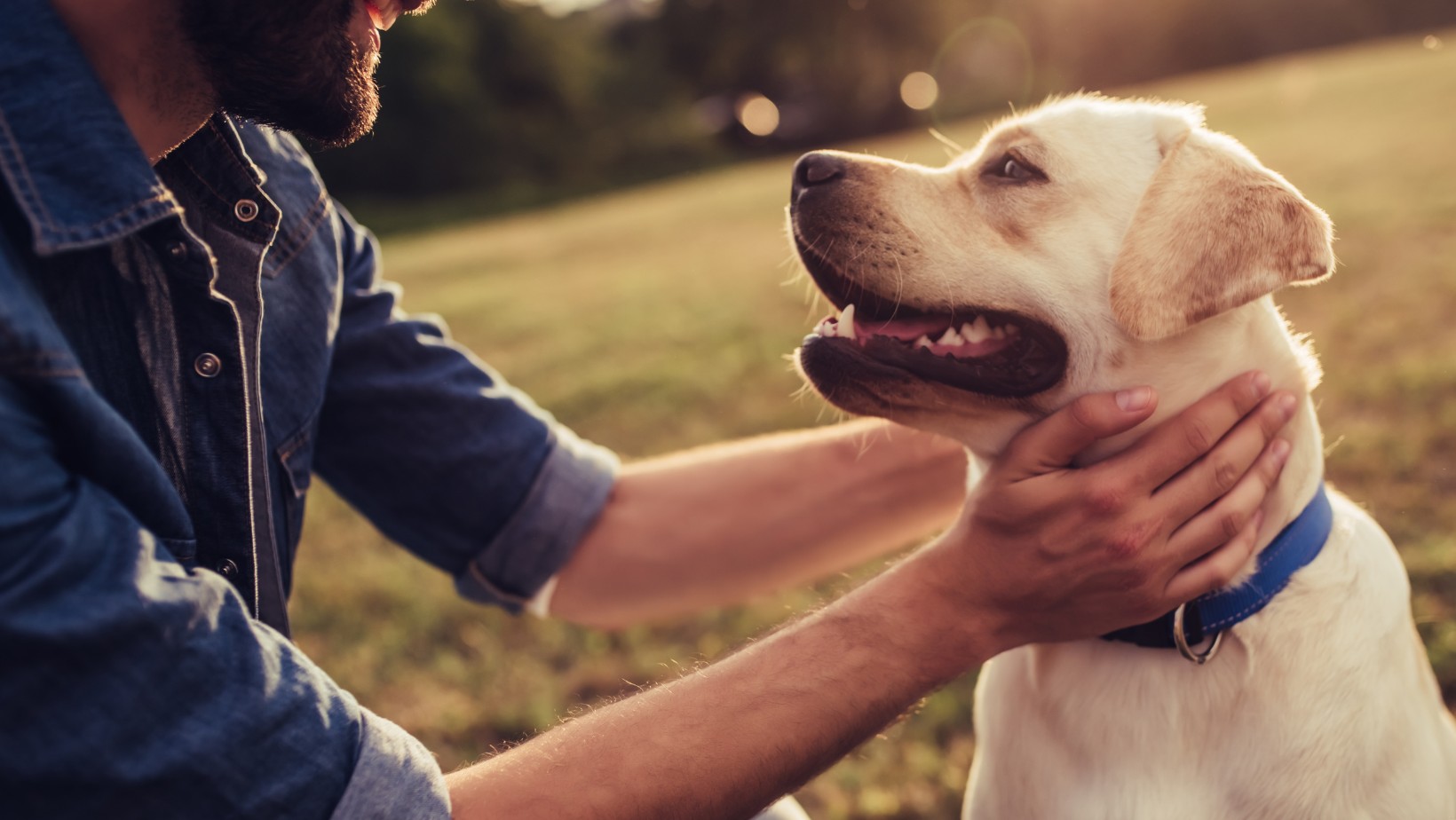 Posiadasz takiego psa? Zimą możesz uzyskać nawet 500 złotych dla swojego czworonoga!