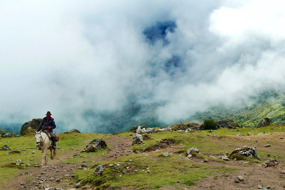 Miała zrobić Nic, a tymczasem nie zrobiła nic.