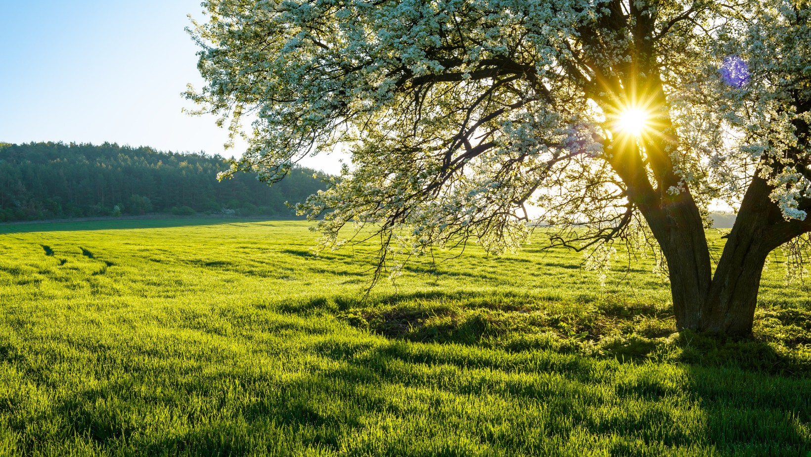 Gwałtowne ocieplenie. Będzie jeszcze cieplej