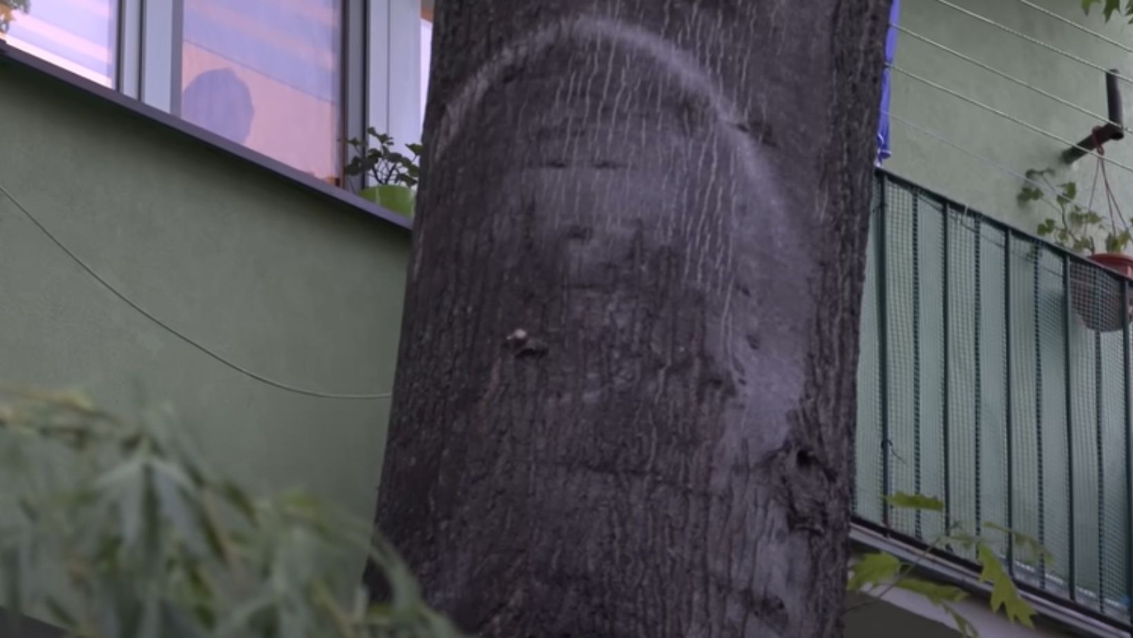 „Cud w Parczewie” to nie cud? Ksiądz studzi nastroje – „to bardziej Conchita Wurst”