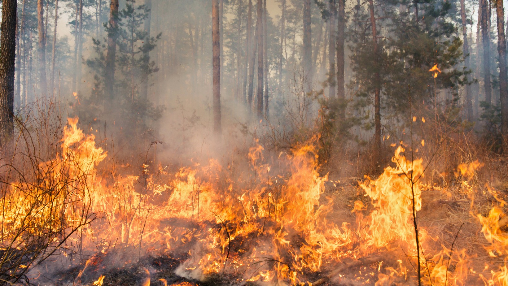 Ekstremalnie niebezpieczna sytuacja! Cała Polska zagrożona!