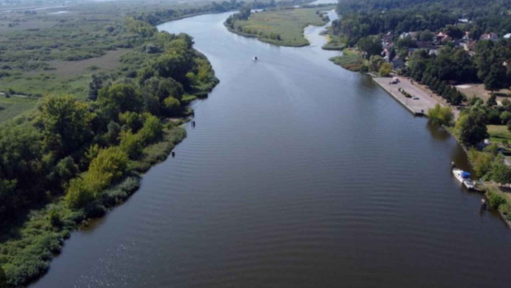 Tony martwych ryb w Odrze! Katastrofa ekologiczna powraca!