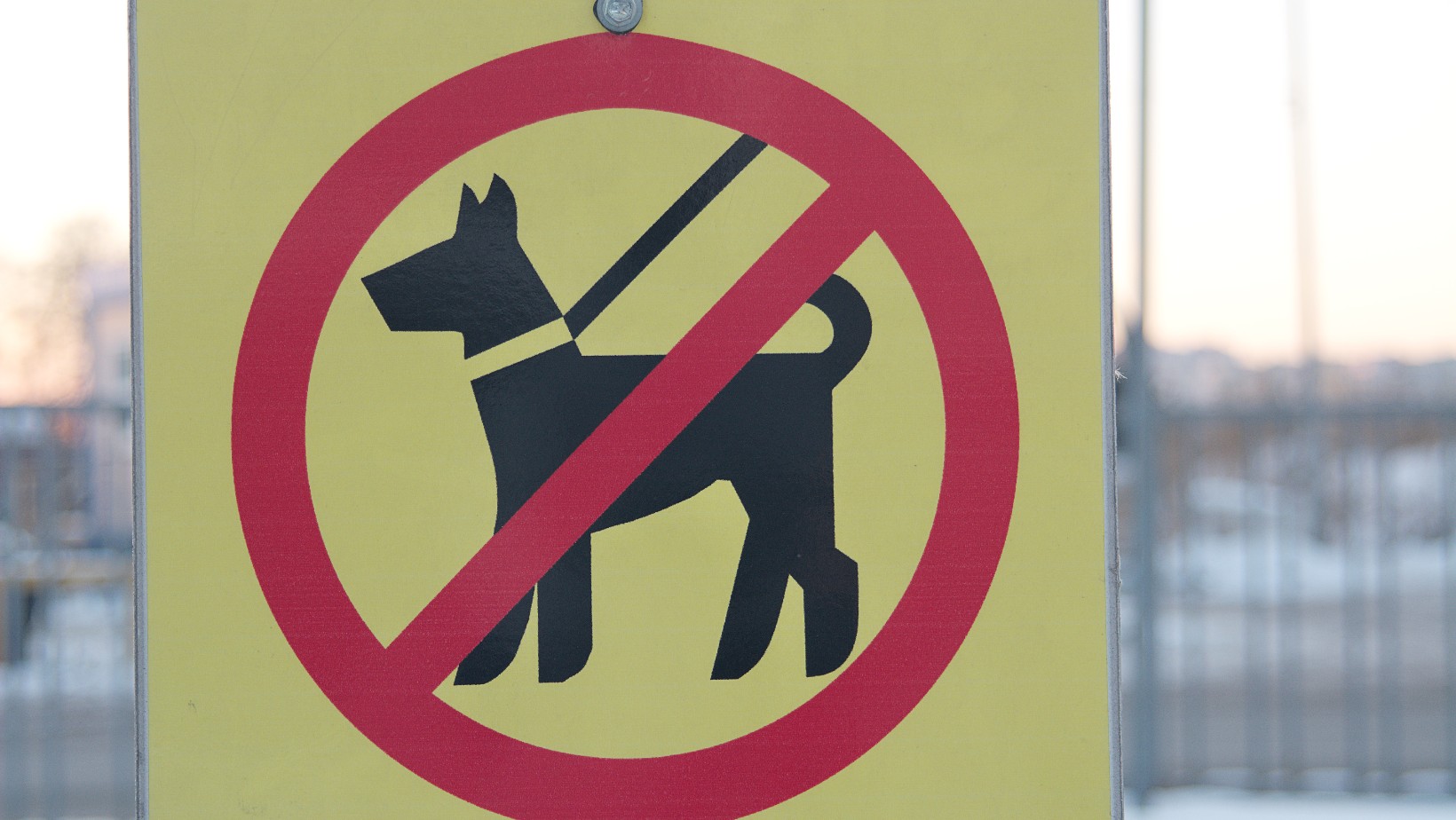 Zdjęcie Tych zachowań unikaj na cmentarzu! Można otrzymać karę w wysokości 8 lat pozbawienia wolności! #1