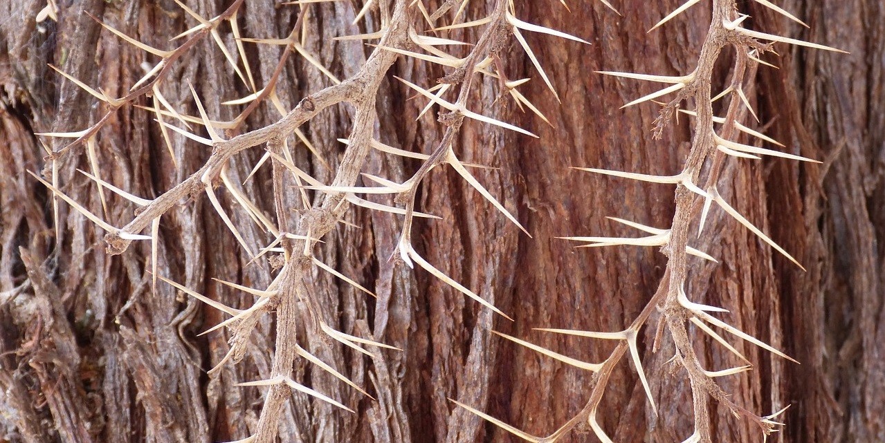 Fałszywa miłość jest gorsza niż prawdziwa nienawiść.