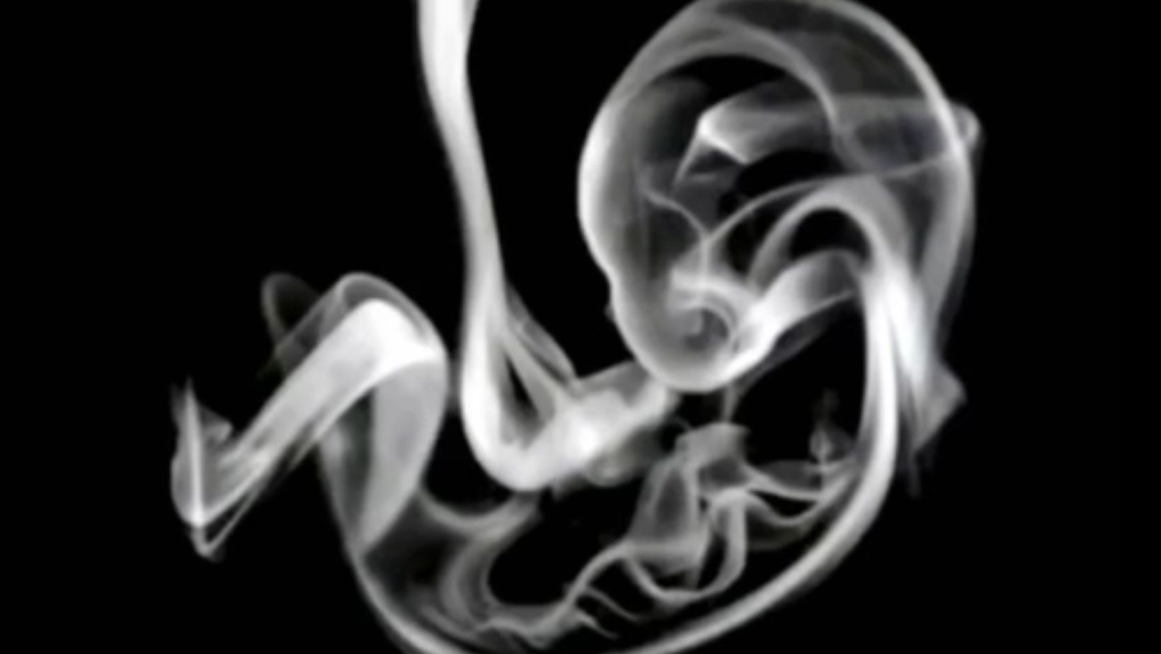 Co widzisz jako pierwsze? Ten test zdradzi, jakim jesteś człowiekiem!