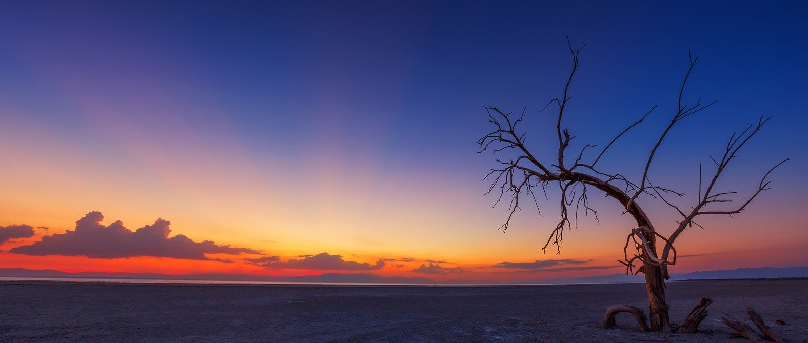 Nie ma radośniejszej rzeczy jak pokonanie cierpienia.