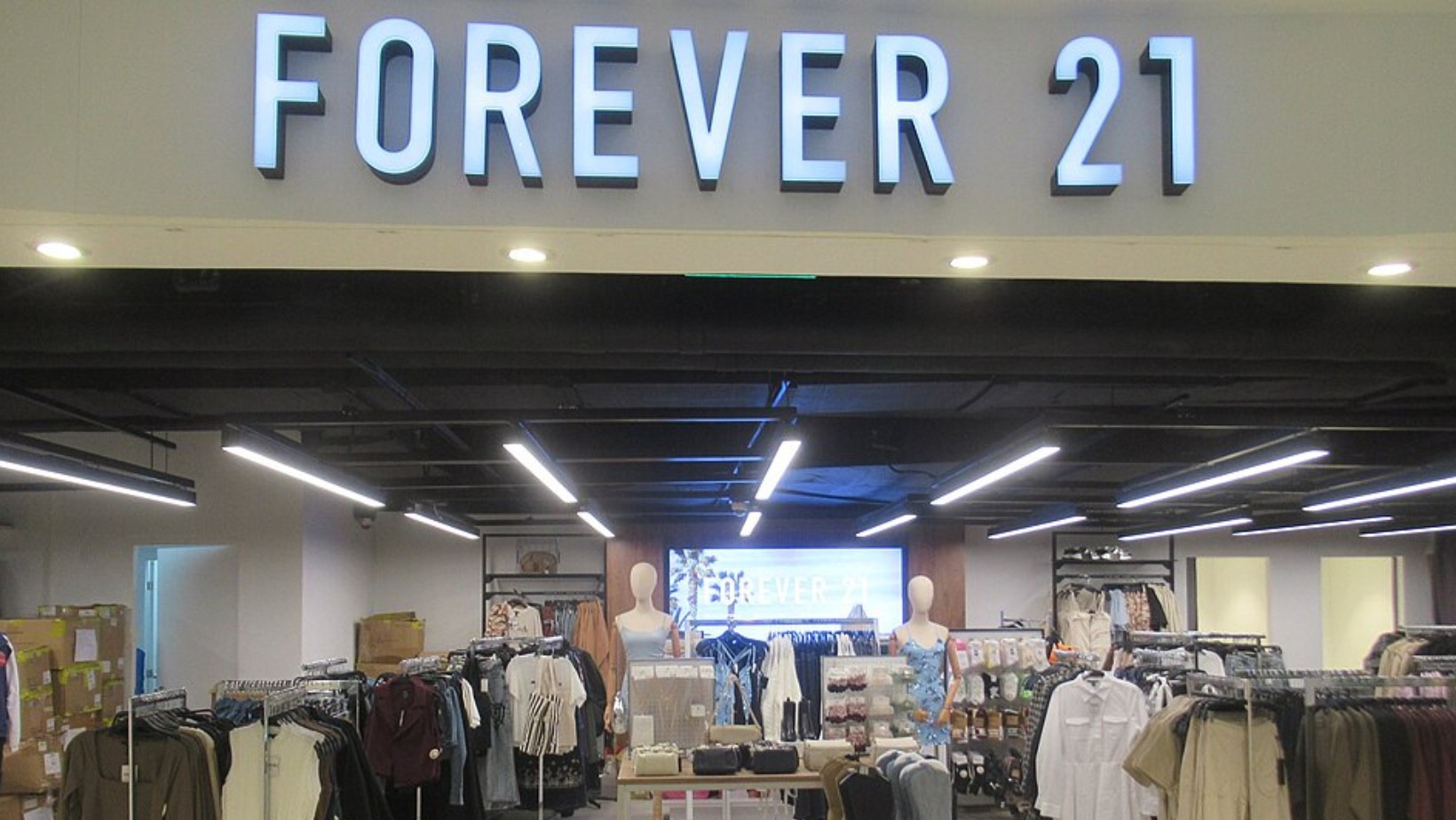 Znana sieć ogłasza bankructwo! Polacy tłumnie robili tam zakupy