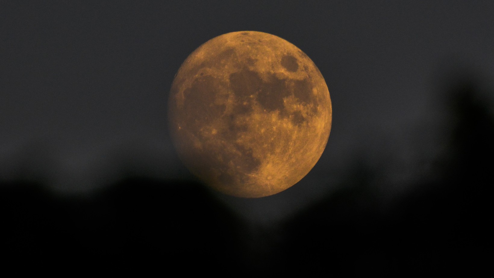 Zdjęcie "Niesamowity spektakl tej nocy". Pełnia Mroźnego Księżyca na niebie! #1
