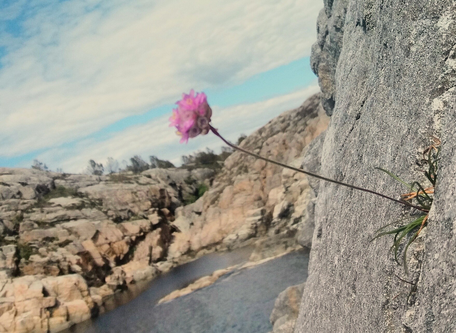 Nie możesz się poddać! Są ludzie w naszym życiu, którzy …