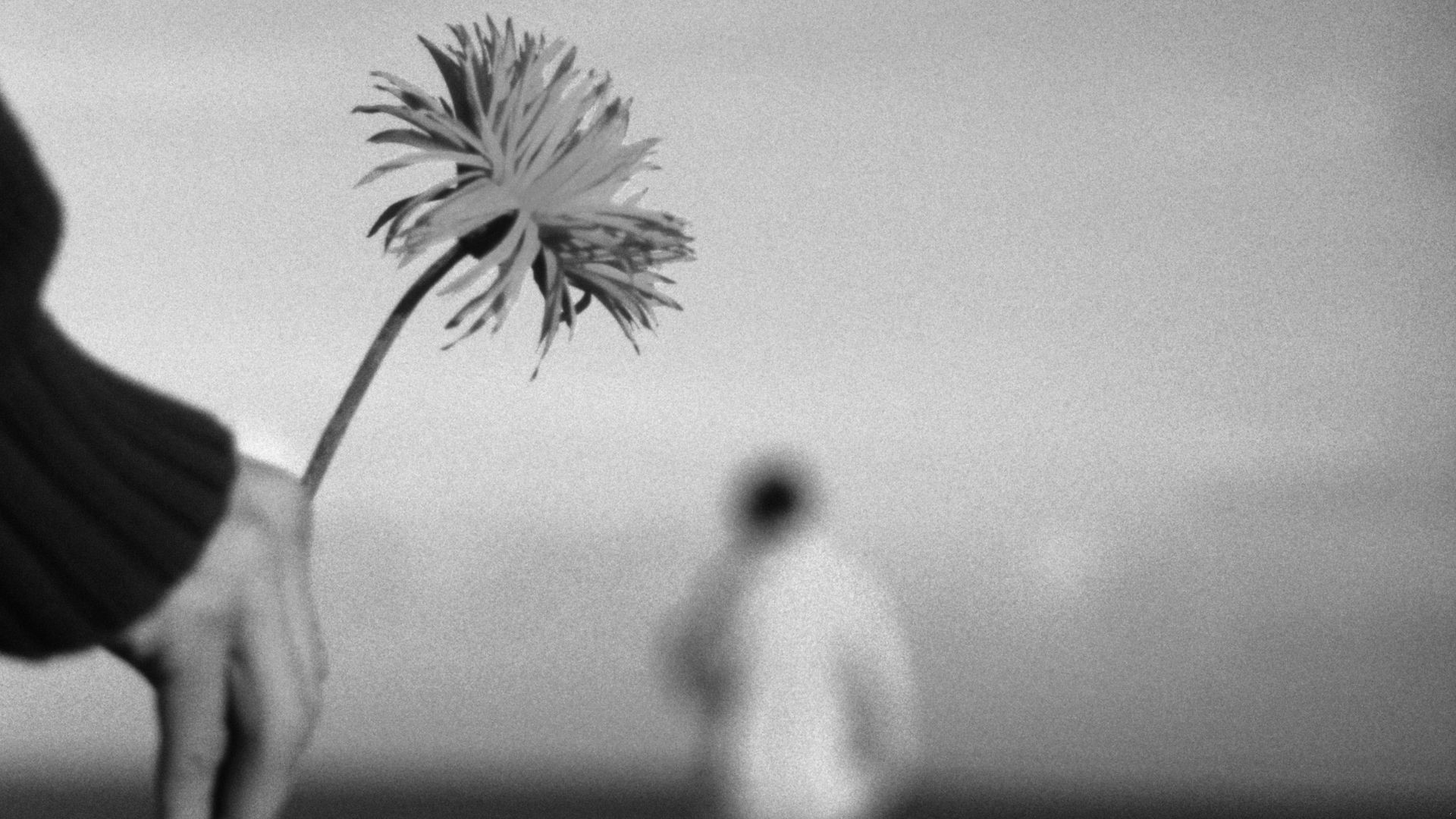 Jak się pogodzić? Poznaj 5 elementarnych wskazówek