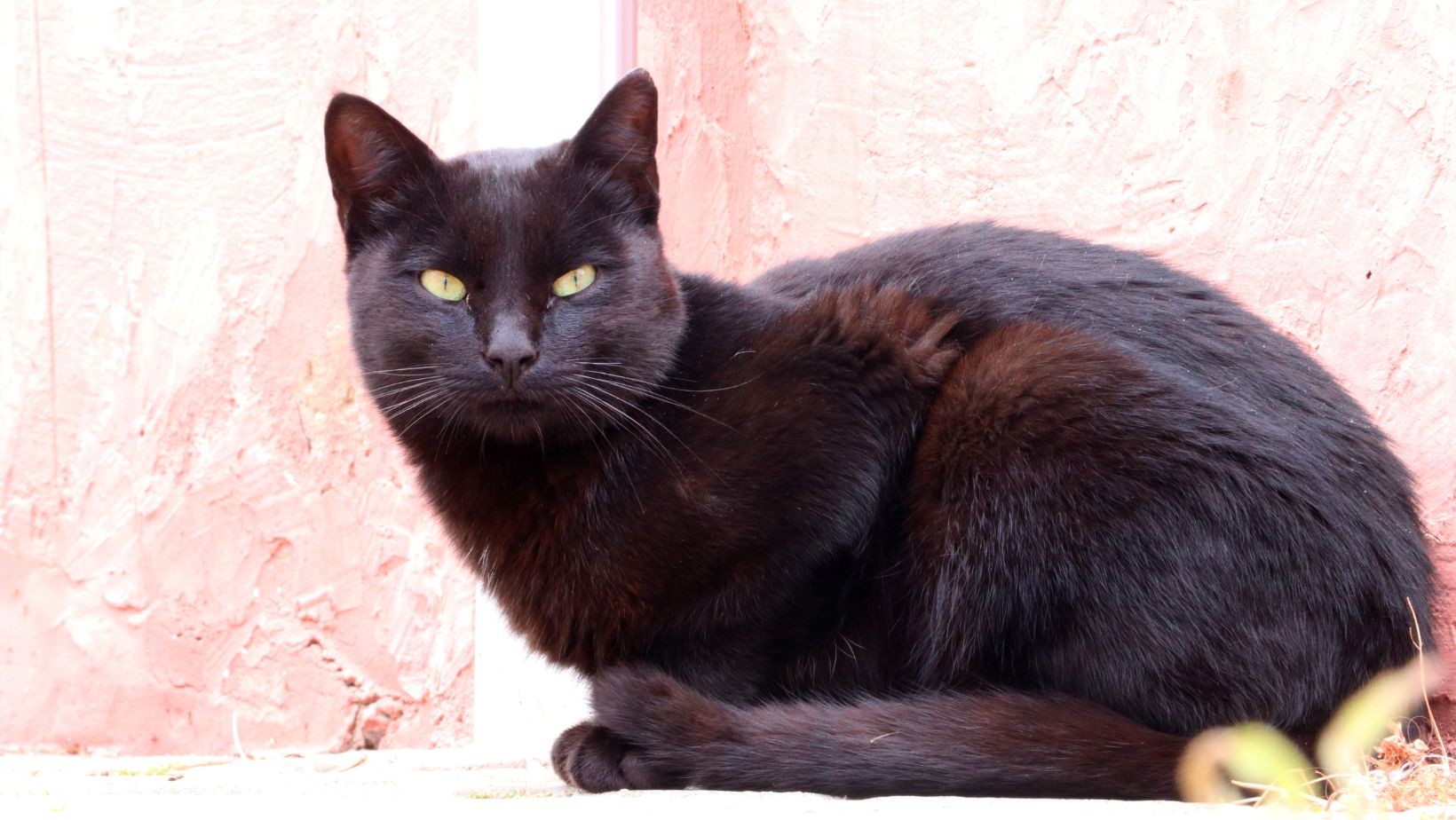 Rzeczy, które przynoszą pecha! Sprawdź, czego lepiej unikać!