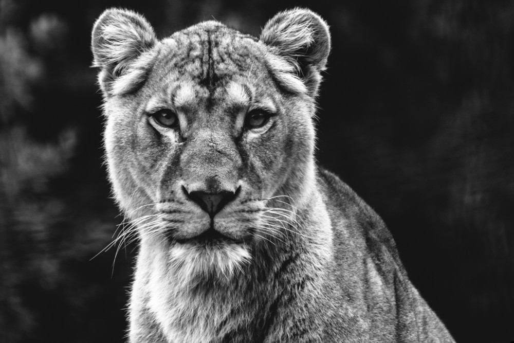 I pamiętaj: bądź grzeczna tylko wtedy, gdy jest to lepsze …