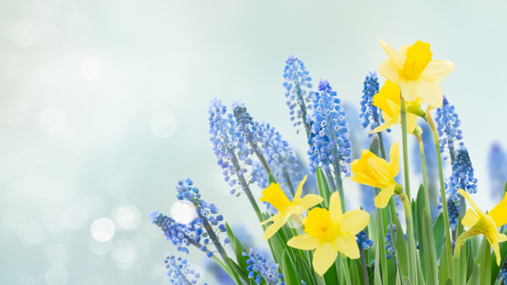 Zdjęcie Prognoza na Wielkanoc zapowiada się ciekawie! W tym regionie do 21 st. C! #1