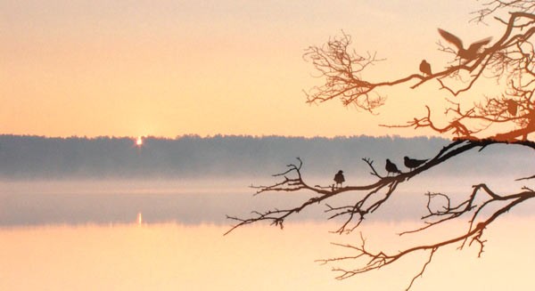 Lepiej się pamięta, co zdarzyło się wiele lat temu, niż …