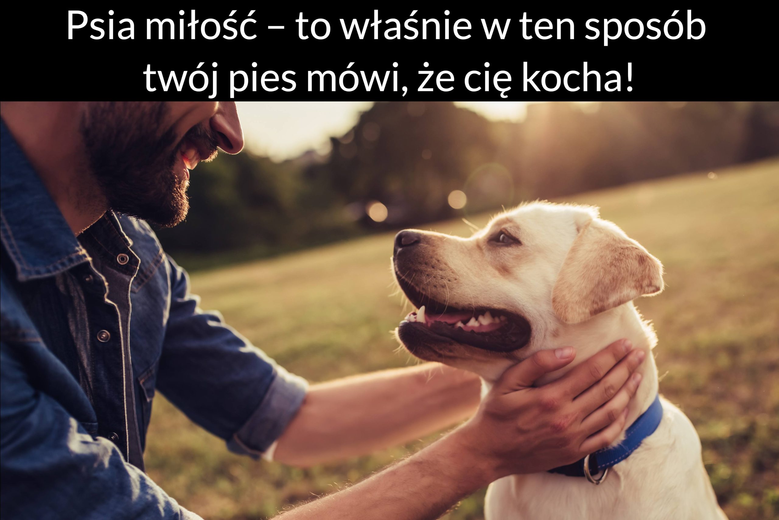 Psia miłość – to właśnie w ten sposób twój pies mówi, że cię kocha!