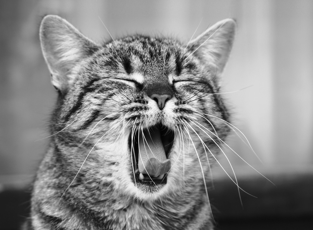 Normalność jest czasami nudna.