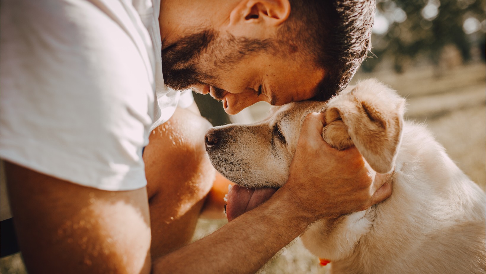 Podatek od psa w górę?! Nowe opłaty dla właścicieli!