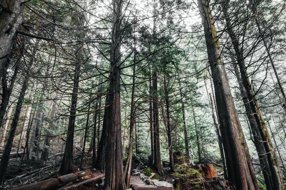 Czy naprawdę stałoby się coś strasznego, gdybym nie miała męża?