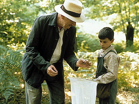 Zdjęcie 5 filmów, które w poruszający sposób przypominają, jak istotne są wartości #4