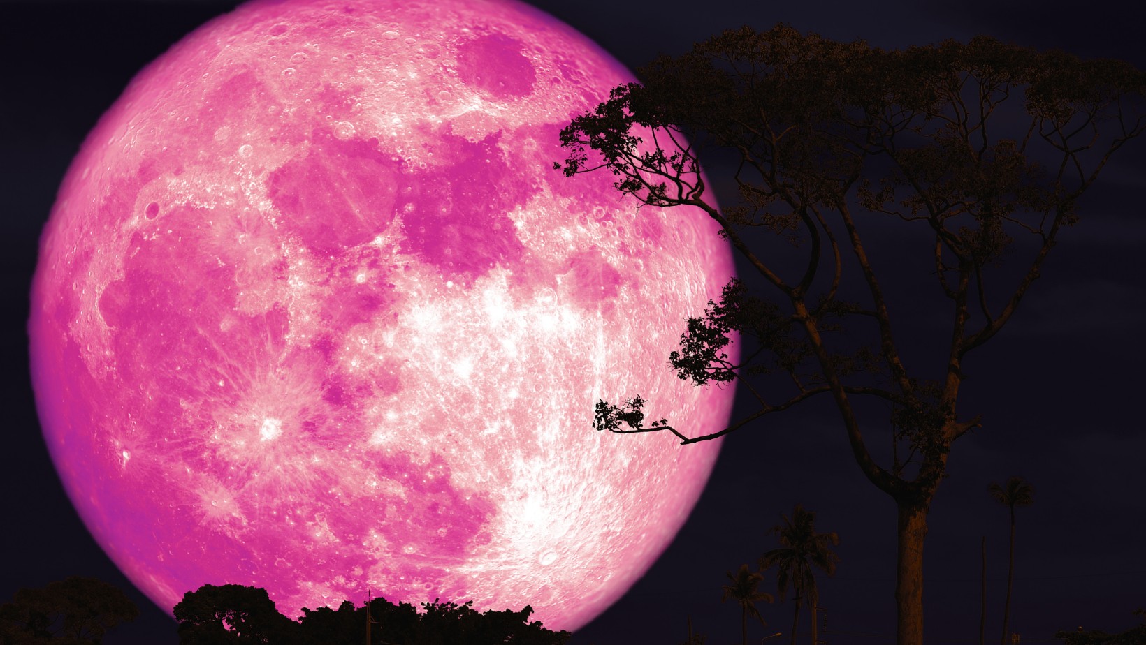 Niesamowite zjawisko astronomiczne! Różowy Księżyc na niebie!