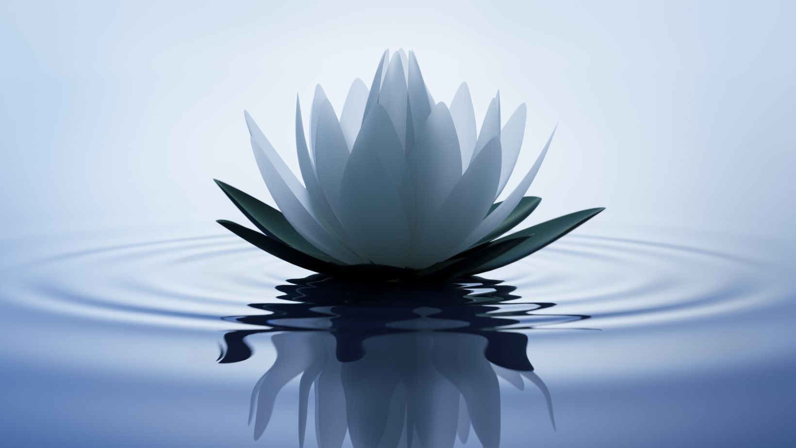 Ta roślina przyciągnie do ciebie bogactwo! Ma zadziwiającą symbolikę!