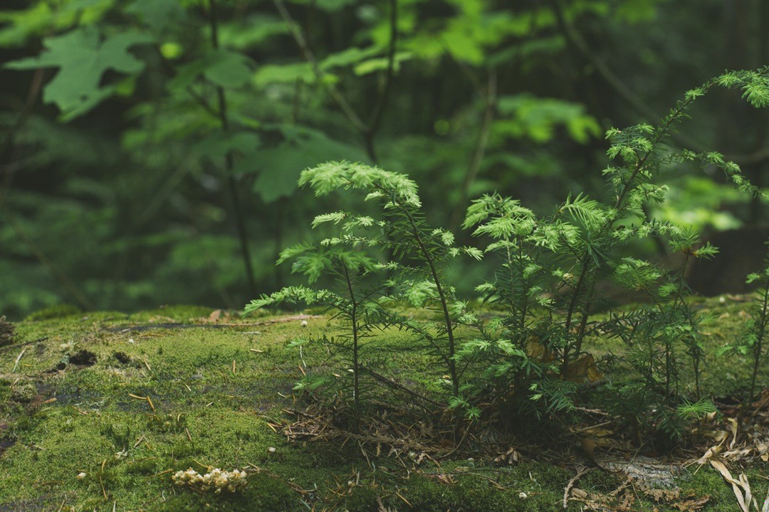 – Tylko tego nauczyło cię życie? Odchodzić?