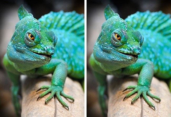 Zdjęcie Sprawdź czy jesteś spostrzegawczy. 
Znajdź jedną różnicę na tych 10 zdjęciach! #2