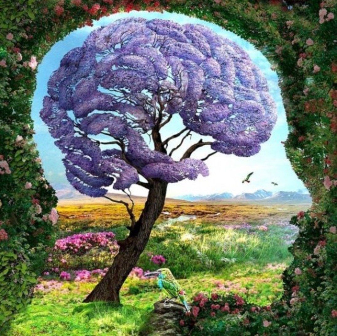 Psychotest: sprawdź, co pierwszy ujrzany obiekt mówi o Twoim podejściu do świata!