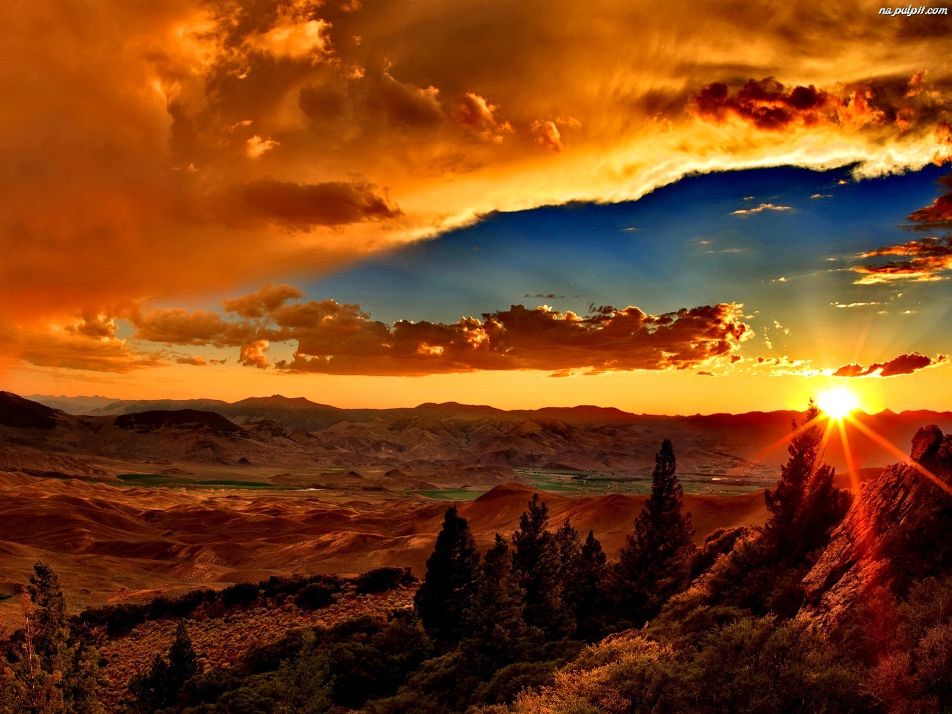 Pisząc tę książkę, nie sądziłam, że stanie się ona taka …