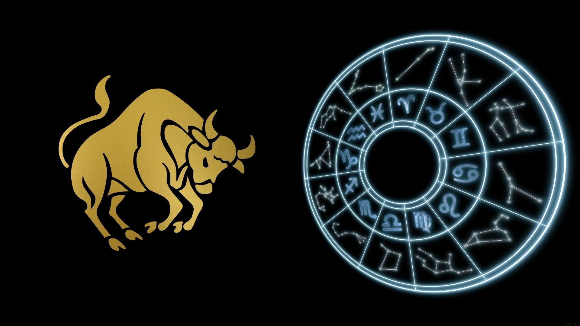Byk – poznaj wyjątkową osobowość osób spod tego znaku zodiaku!