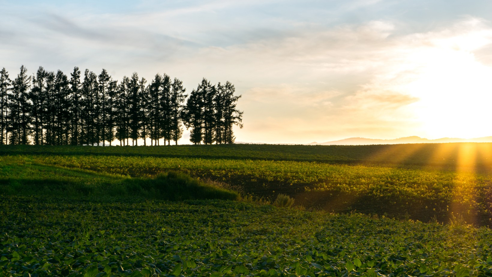 Zdjęcie Wyż George zbliża się nad Polskę! Temperatury powietrza będą wysokie! Czy to już początek wiosny? #1