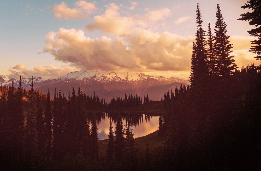 Prawdziwy przyjaciel to ten, który Ci powie szczerą prawdę, kiedy …