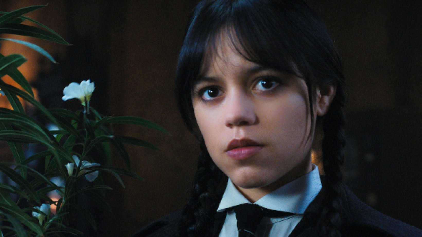 Zdjęcie Drugi sezon „Wednesday” nadchodzi! Kogo zobaczymy w obsadzie? #1