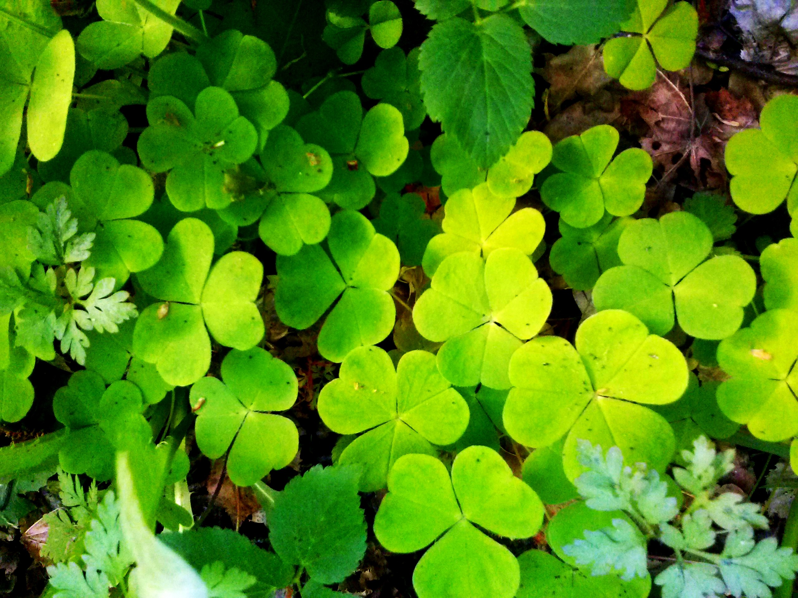 Daj innym szczęście i nie oczekuj nic w zamian. Jeżeli …