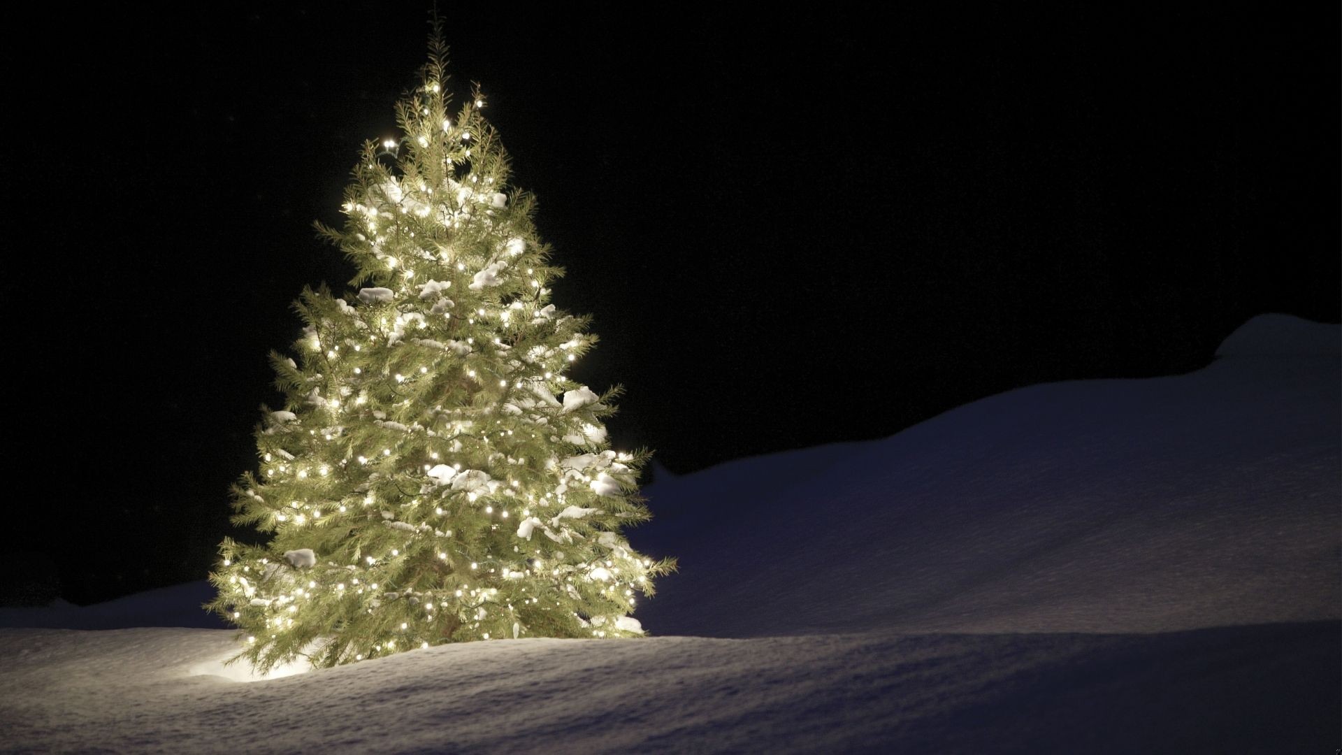 Skąd wzięła się data Bożego Narodzenia?