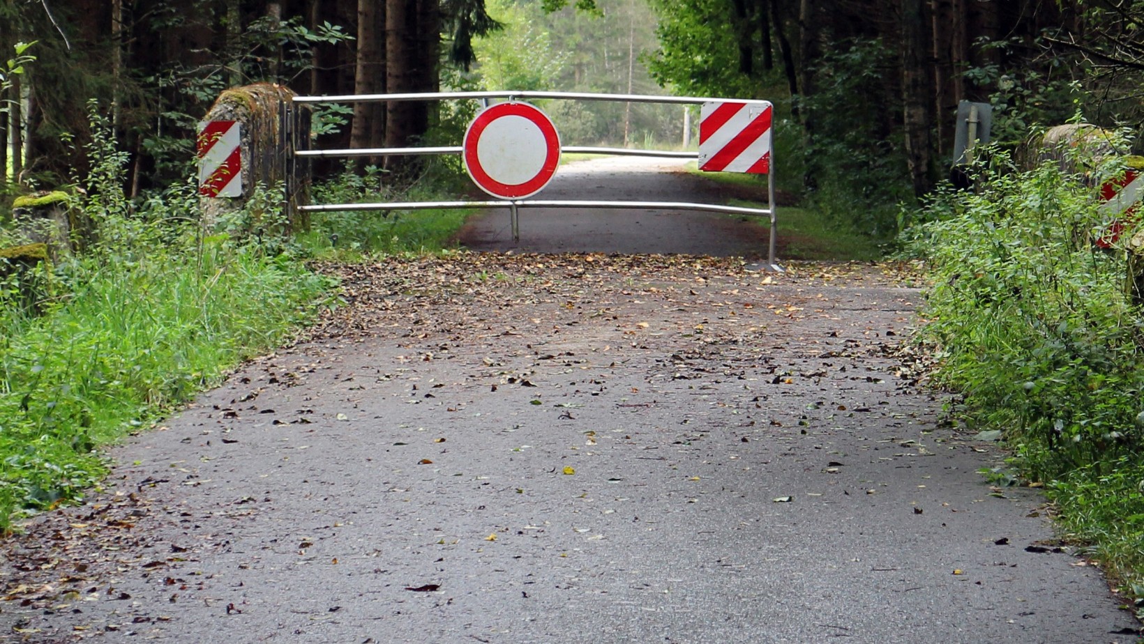 Polska wprowadza kontrole na granicy: co się zmieni?