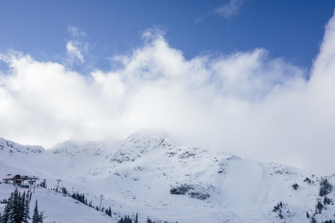 Komórki są niewygodne przez to, że są wygodne.
