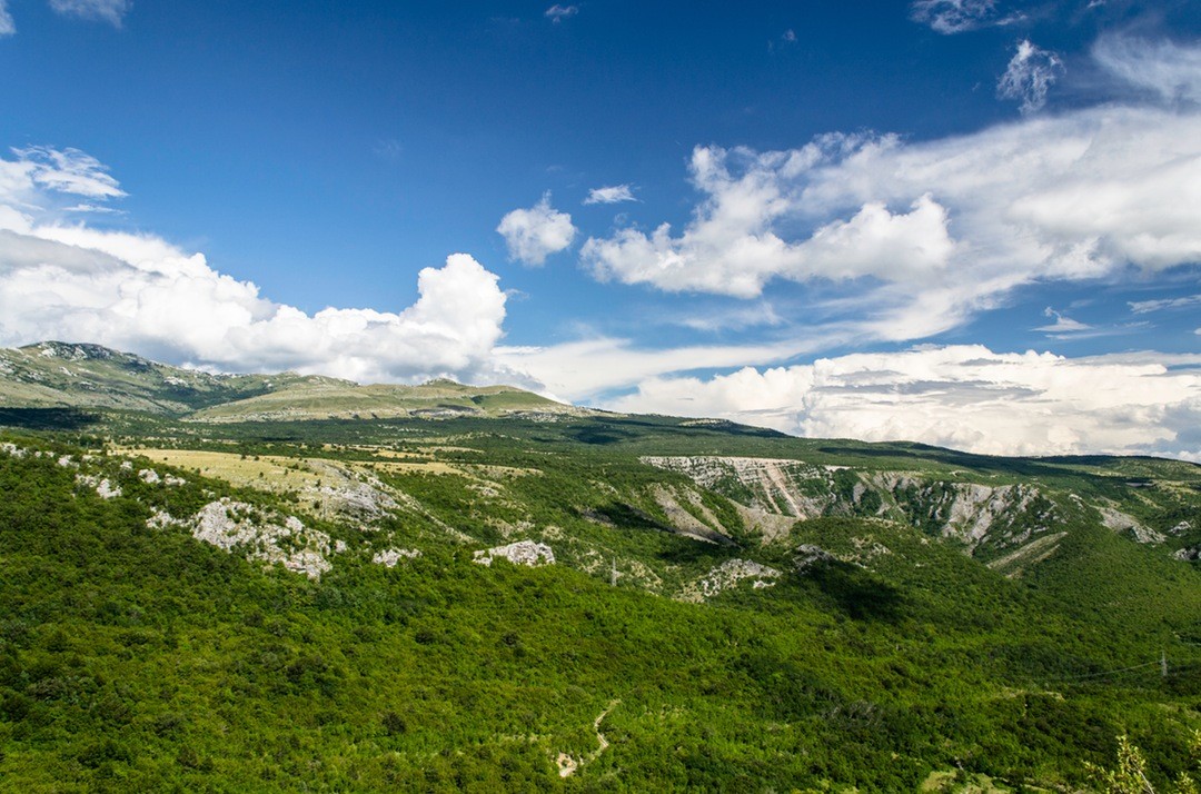 Nie był szczególnie przystojny. Niewysoki, skronie oszronione, nadwaga też spora. …